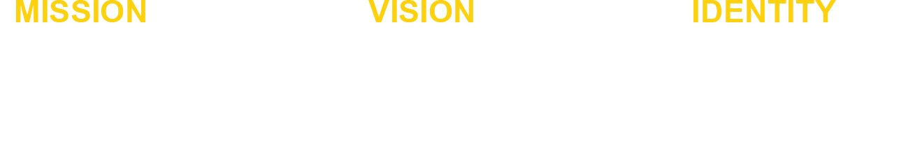 Mission Vision Identity