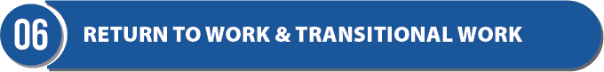 6. Return to work and transitional work