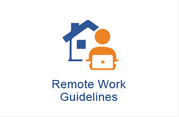 Remote Work Guidelines